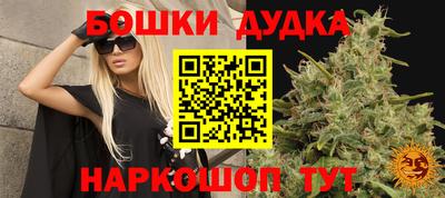 стафф Гулькевичи